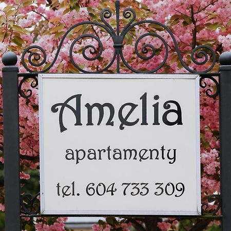 Amelia Apartamenty - Sala Zabaw, 2 Sypialnie, Garaz Podziemny Владиславово Екстер'єр фото