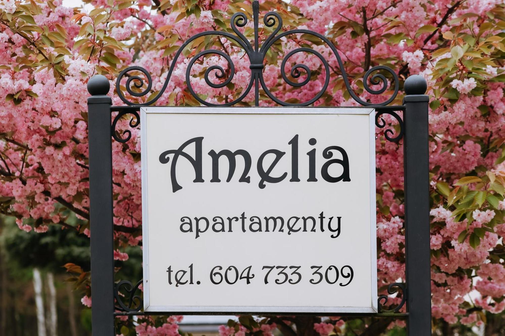 Amelia Apartamenty - Sala Zabaw, 2 Sypialnie, Garaz Podziemny Владиславово Екстер'єр фото